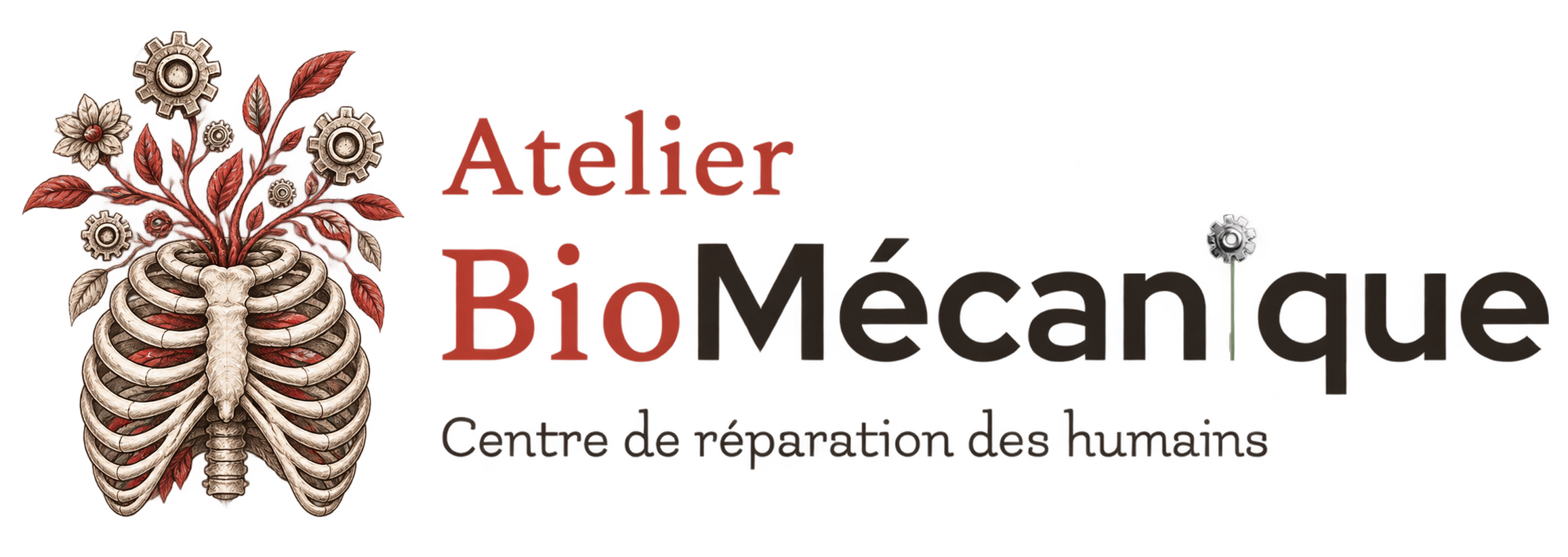 BioMécanique